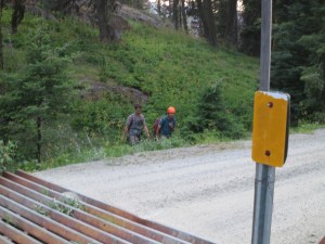Ben and Gerry emerge from the woods