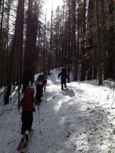 Haney Meadow XC Ski Trail
