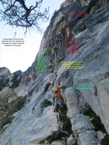 Beginning the SW Rib