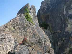 Upon seeing this medium-sized tree, you can traverse into the gully to avoid spending time rappelling into the gully later