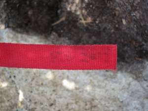 "RTB 2012" My own webbing was still part of one rap anchor. The webbing itself isn't nearly as faded I as would expect for 1 year & 10 months outdoors, though I guess it is in a shaded spot.